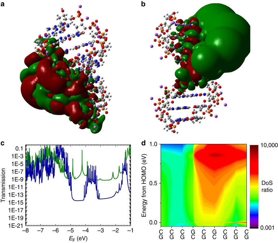 Algorithms-for-Modeling-Nanodevices