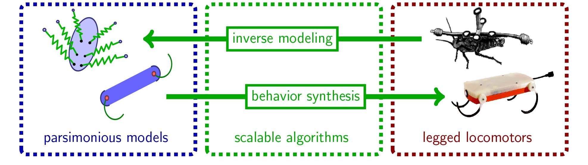 Burden_predictive-dynamical-models-for-sensorimotor-control-of-legged-locomotion