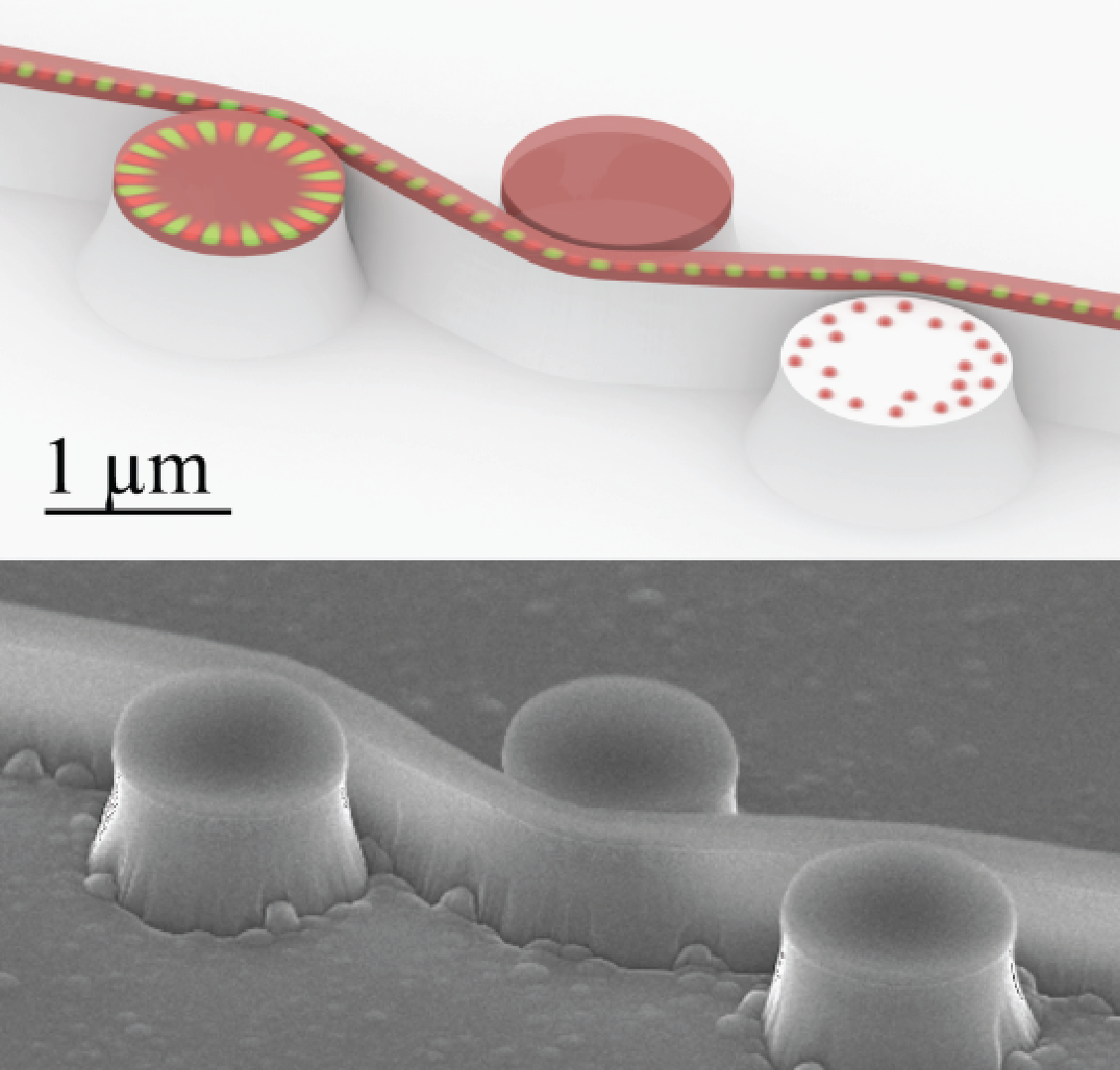 Fu_an-on-chip-entanglement-generation-device