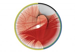 connectome